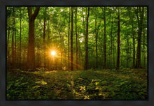 Load image into Gallery viewer, Sacred Morning
