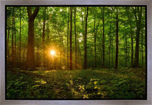 Load image into Gallery viewer, Sacred Morning
