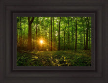 Load image into Gallery viewer, Sacred Morning
