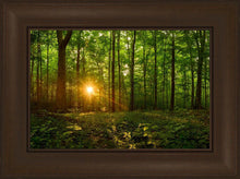 Load image into Gallery viewer, Sacred Morning
