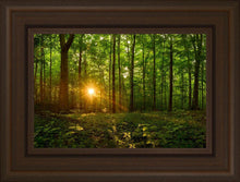 Load image into Gallery viewer, Sacred Morning
