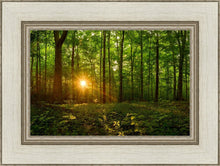 Load image into Gallery viewer, Sacred Morning
