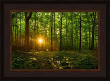 Load image into Gallery viewer, Sacred Morning

