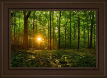 Load image into Gallery viewer, Sacred Morning
