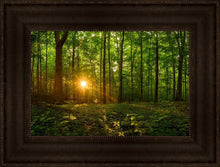 Load image into Gallery viewer, Sacred Morning
