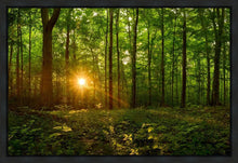 Load image into Gallery viewer, Sacred Morning
