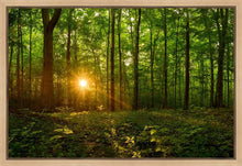 Load image into Gallery viewer, Sacred Morning
