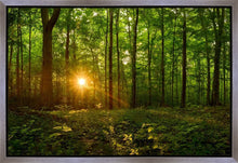Load image into Gallery viewer, Sacred Morning
