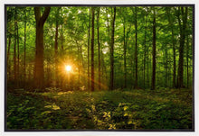Load image into Gallery viewer, Sacred Morning
