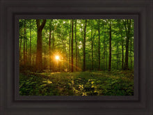 Load image into Gallery viewer, Sacred Morning
