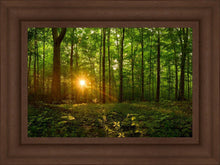 Load image into Gallery viewer, Sacred Morning
