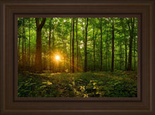 Load image into Gallery viewer, Sacred Morning
