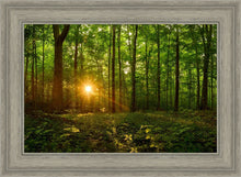 Load image into Gallery viewer, Sacred Morning
