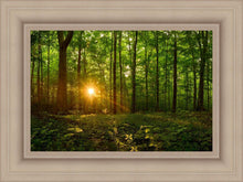 Load image into Gallery viewer, Sacred Morning
