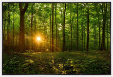 Load image into Gallery viewer, Sacred Morning
