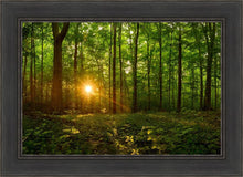 Load image into Gallery viewer, Sacred Morning
