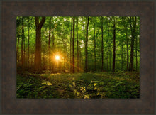 Load image into Gallery viewer, Sacred Morning
