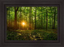 Load image into Gallery viewer, Sacred Morning
