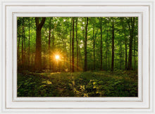 Load image into Gallery viewer, Sacred Morning
