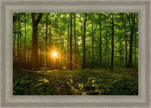 Load image into Gallery viewer, Sacred Morning

