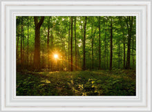 Load image into Gallery viewer, Sacred Morning
