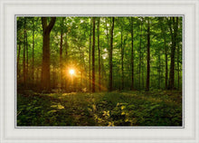 Load image into Gallery viewer, Sacred Morning
