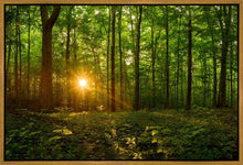 Load image into Gallery viewer, Sacred Morning
