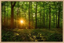 Load image into Gallery viewer, Sacred Morning
