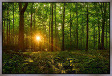 Load image into Gallery viewer, Sacred Morning
