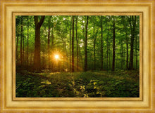 Load image into Gallery viewer, Sacred Morning
