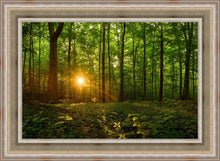 Load image into Gallery viewer, Sacred Morning
