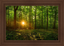 Load image into Gallery viewer, Sacred Morning
