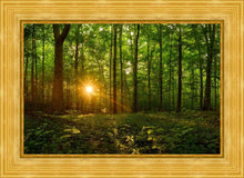 Load image into Gallery viewer, Sacred Morning
