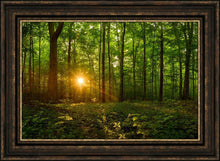Load image into Gallery viewer, Sacred Morning
