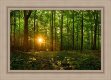 Load image into Gallery viewer, Sacred Morning
