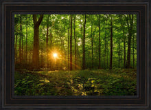 Load image into Gallery viewer, Sacred Morning
