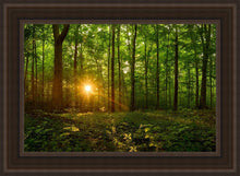 Load image into Gallery viewer, Sacred Morning
