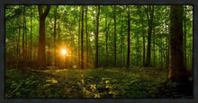Load image into Gallery viewer, Sacred Morning
