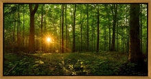 Load image into Gallery viewer, Sacred Morning
