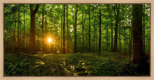 Load image into Gallery viewer, Sacred Morning
