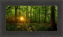 Load image into Gallery viewer, Sacred Morning
