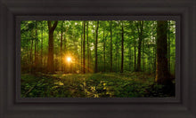Load image into Gallery viewer, Sacred Morning
