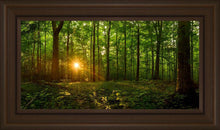 Load image into Gallery viewer, Sacred Morning
