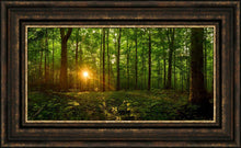 Load image into Gallery viewer, Sacred Morning
