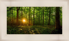 Load image into Gallery viewer, Sacred Morning
