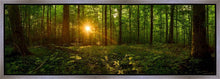 Load image into Gallery viewer, Sacred Morning
