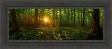 Load image into Gallery viewer, Sacred Morning
