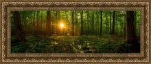 Load image into Gallery viewer, Sacred Morning
