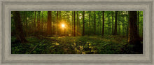 Load image into Gallery viewer, Sacred Morning
