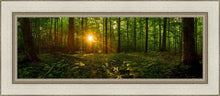 Load image into Gallery viewer, Sacred Morning
